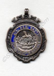 Silver sporting medal. Company League. 4th (Reserv