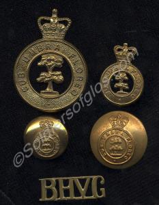 Set of two buttons, cap and collar badges and shou