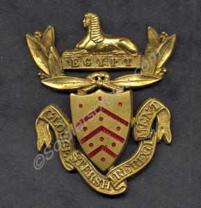 Officers and senior NCOs' forage cap badge, with s