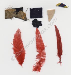 Full Dress accoutrements of the Royal Gloucestersh