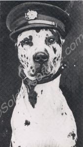 Believed to be 'Braggs I' or 'Braggs II', the Grea