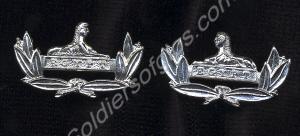 White metal collar dogs worn by all ranks in the G