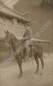 Mounted trooper of the Royal Gloucestershire Hussa