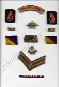 Collection of badges belonging to 7926631 Trooper