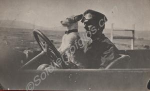 Soldier driving a car with a small dog. India. c.