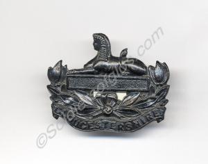 Officer's black metal forage cap badge. Territoria
