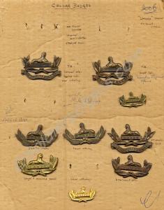 A display of various types of Gloucestershire Regi