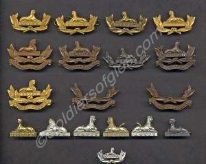 A display of various types of Gloucestershire Regi