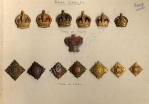 A display of various types of officers' rank shoul