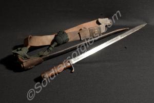 German saw bayonet, complete with scabbard, green