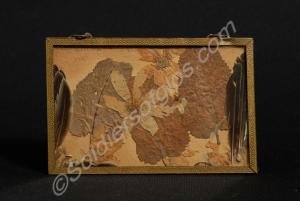 Pressed wild flowers, leaves and feathers from the