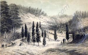 Print of Napoleon's tomb in St. Helena. c. 1830.