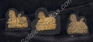 Three officers' Back Badges of the Gloucestershire