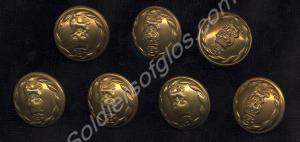 Seven large buttons worn by the Gloucestershire Re