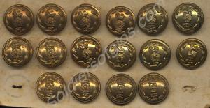 Set of sixteen Gloucestershire Regiment buttons on