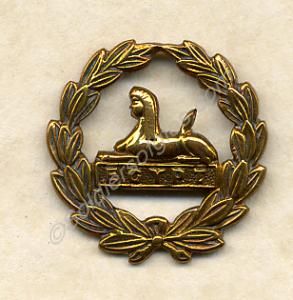 Officer's polished brass back badge for Wolseley p