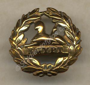 Brass back badge, for Gloucestershire Regiment off