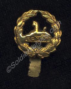 Other rank's gold metal  back badge. Gloucestershi