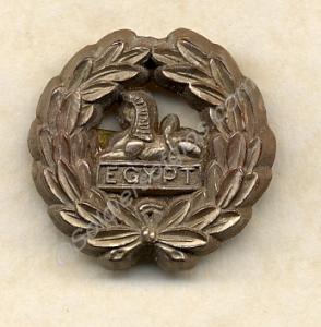 Plastic back badge. Gloucestershire Regiment offic