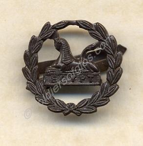 Bronze Back Badge, for Gloucestershire Regiment of