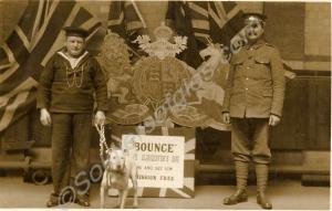 ""Bounce"  HMS Gloucester's Dog. Come and See Him.