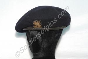 Officer's blue beret embroidered Wyvern front badg