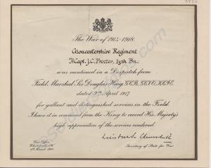 Mention in Despatches dated 9th April 1917 to Capt