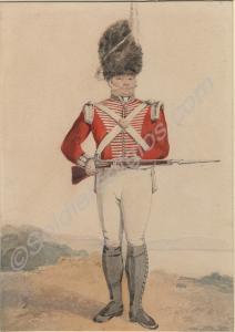 Watercolour copy of a print depicting Sergeant Has