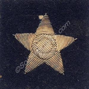 Arctic Star shoulder flash, as worn by officers of