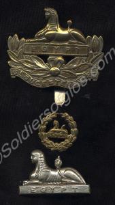 Three badges; one front badge, one back badge and
