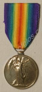 Allied Victory Medal. Awarded to 35689 Private Wil