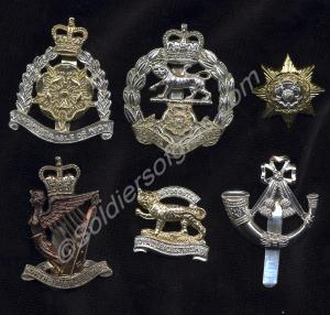 Assortment of cap badges, including. Royal Hampshi