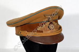 Nazi Political Leader's cap. Ortsgruppe level. Ger