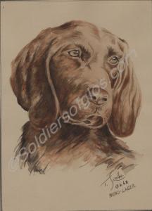 Watercolour of a brown dog. By T. Skalbe, 17-4-48.