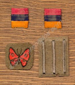 Butterfly badge with three wound strips and medal
