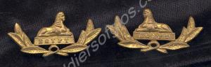 Pair of officer's brass collar dogs, made in India