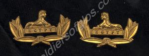 Pair of officer's small gilt collar dogs for Numbe