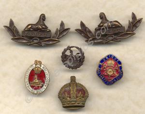 Six badges.  Pair of officer's bronze collar badge