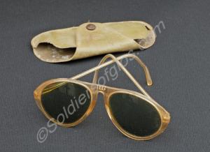 Sun glasses in gray case on case in a shield (C.P.