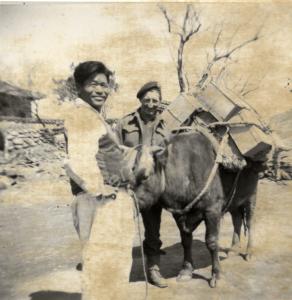 Soldier with local man and pack-ox in Korea. 1st B