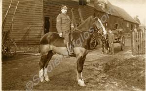 Gloucestershire Regiment Sergeant seated on a hors