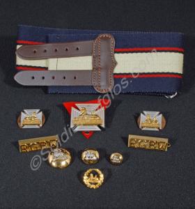Badges and buttons of the Royal Gloucestershire, B