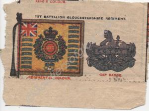 Gloucestershire Regiment Colour and badge from cig
