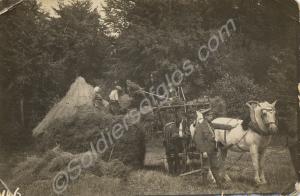 Constructing a hayrick.  1/4th Battalion, The Glou