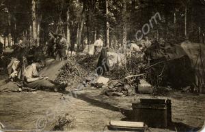 Soldiers' camp in a wood. 1/4th Battalion, The Glo