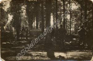 Soldiers' camp in a wood. 1/4th Battalion, The Glo