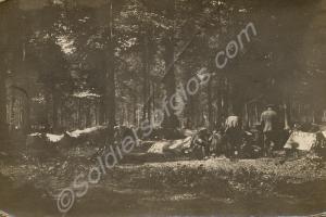 Soldiers' camp in a wood. 1/4th Battalion, The Glo