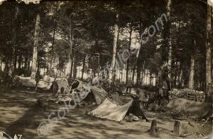 Soldiers' camp in a wood. 1/4th Battalion, The Glo