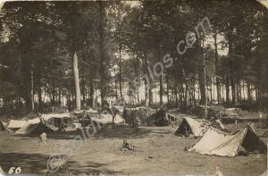 Camp in woods. 1/4th Battalion, The Gloucestershir