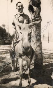 Nolan on a donkey. 2nd Battalion, The Gloucestersh